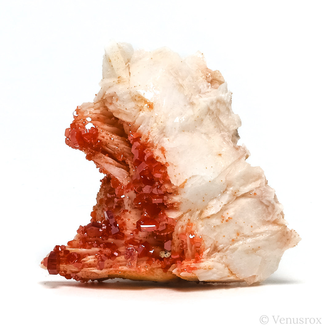 Vanadinite on Barite Natural Specimen from Mibladen, Midelt, Meknes-Tafilalet Region, Morocco | Venusrox