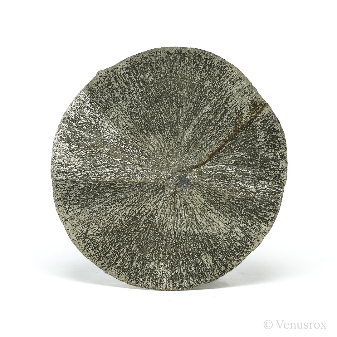 Pyrite Sun from Sparta, Randolph Co., Illinois, USA | Venusrox