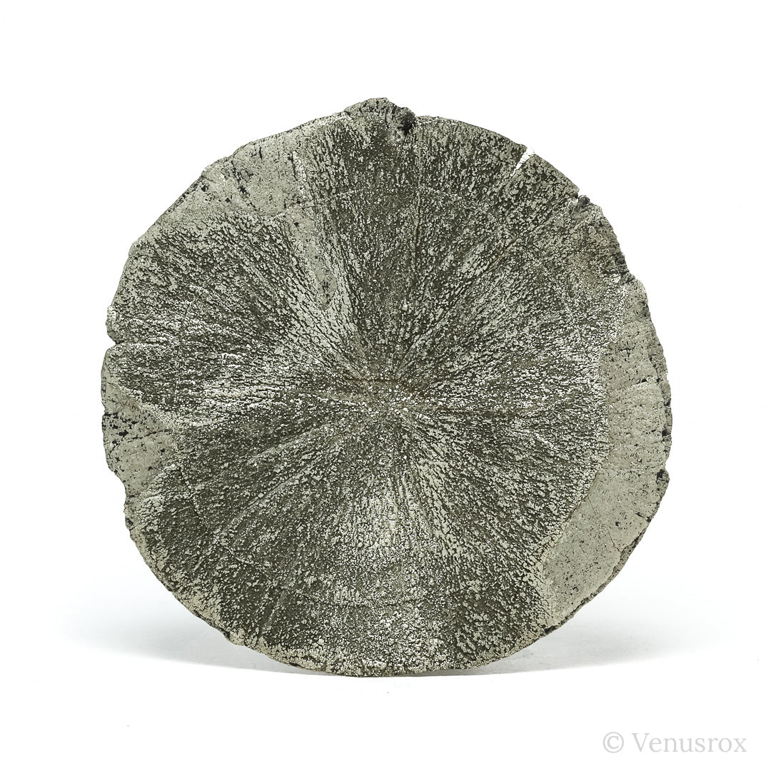 Pyrite Sun from Sparta, Randolph Co., Illinois, USA | Venusrox