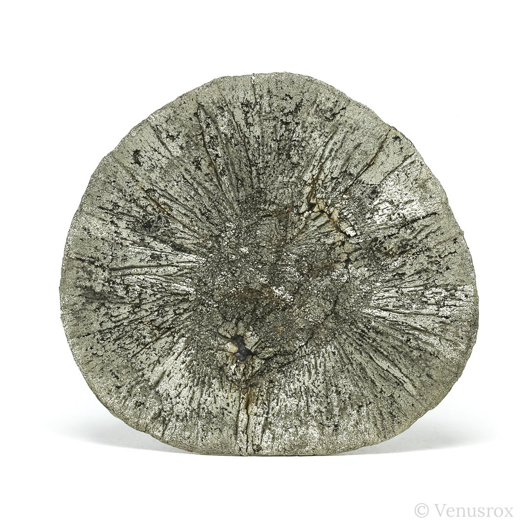 Pyrite Sun from Sparta, Randolph Co., Illinois, USA | Venusrox