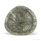 Pyrite Sun from Sparta, Randolph Co., Illinois, USA | Venusrox