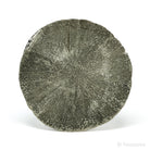 Pyrite Sun from Sparta, Randolph Co., Illinois, USA | Venusrox