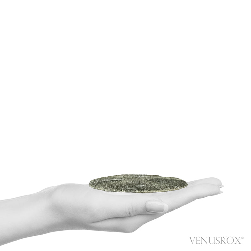 Pyrite Sun from Sparta, Randolph Co., Illinois, USA | Venusrox