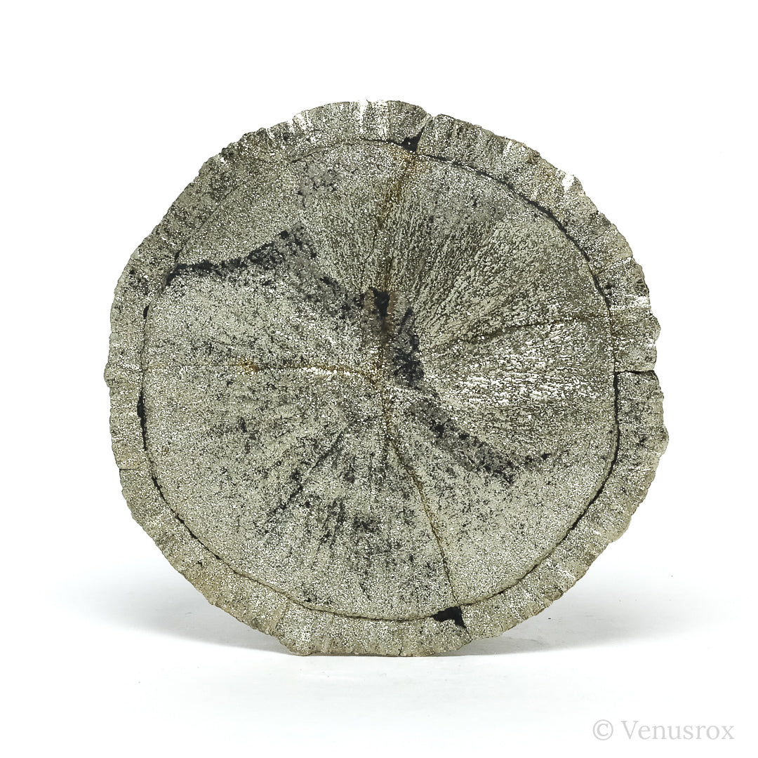 Pyrite Sun from Sparta, Randolph Co., Illinois, USA | Venusrox