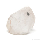 Hollandite Quartz Part Polished/Part Natural Point from Madagascar | Venusrox