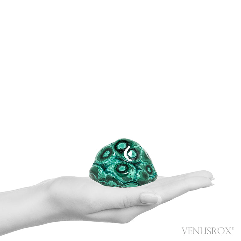 Malachite with Chrysocolla Polished Crystal from the Democratic Republic of Congo | Venusrox