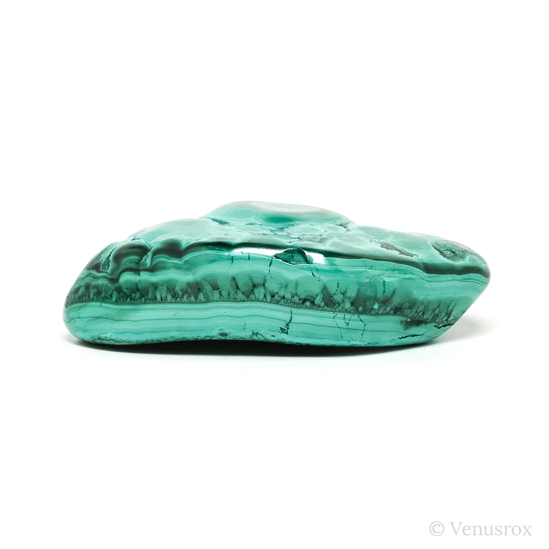 Malachite with Chrysocolla Polished Crystal from the Democratic Republic of Congo | Venusrox