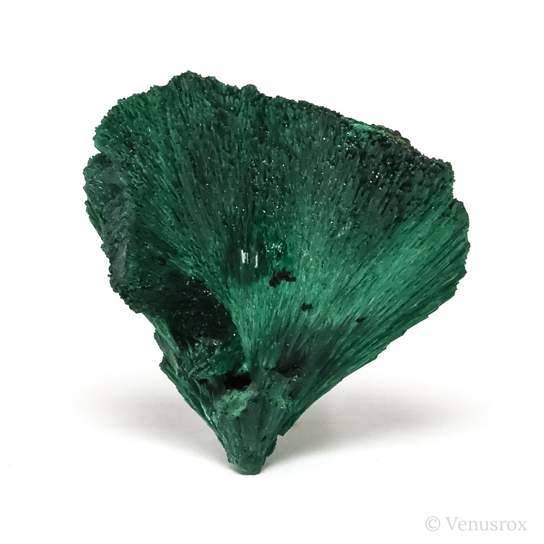 VENUSROX LONDON | Premier Crystal Showroom and Online Store – Venusrox