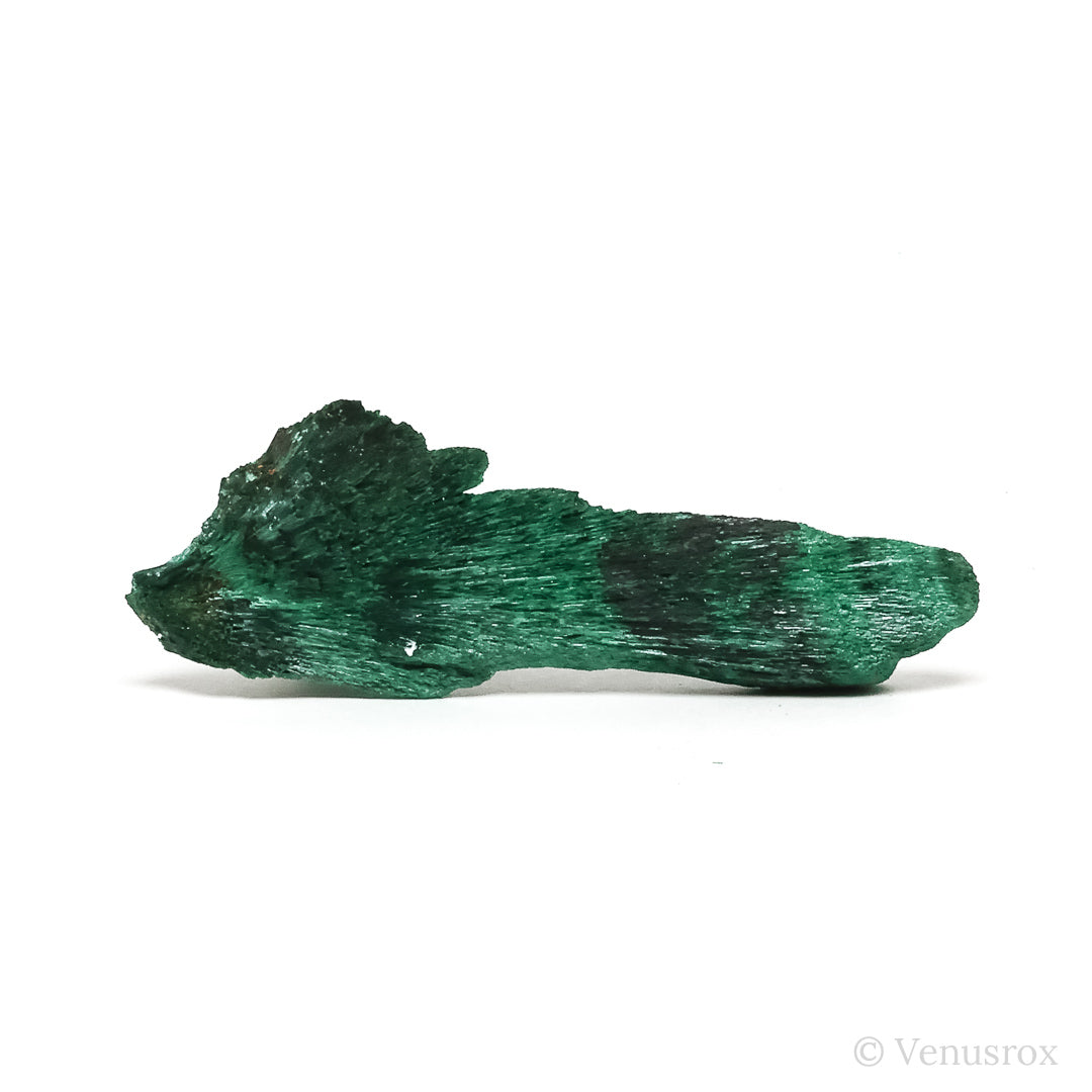 Fibrous Malachite with Matrix Natural Crystal from Kerrouchene, Khenifra Province, Meknes-Tafilalet Region, Morocco, Africa | Venusrox