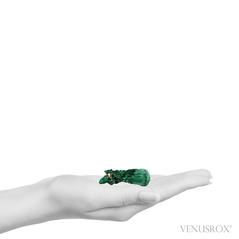 Fibrous Malachite with Matrix Natural Crystal from Kerrouchene, Khenifra Province, Meknes-Tafilalet Region, Morocco, Africa | Venusrox