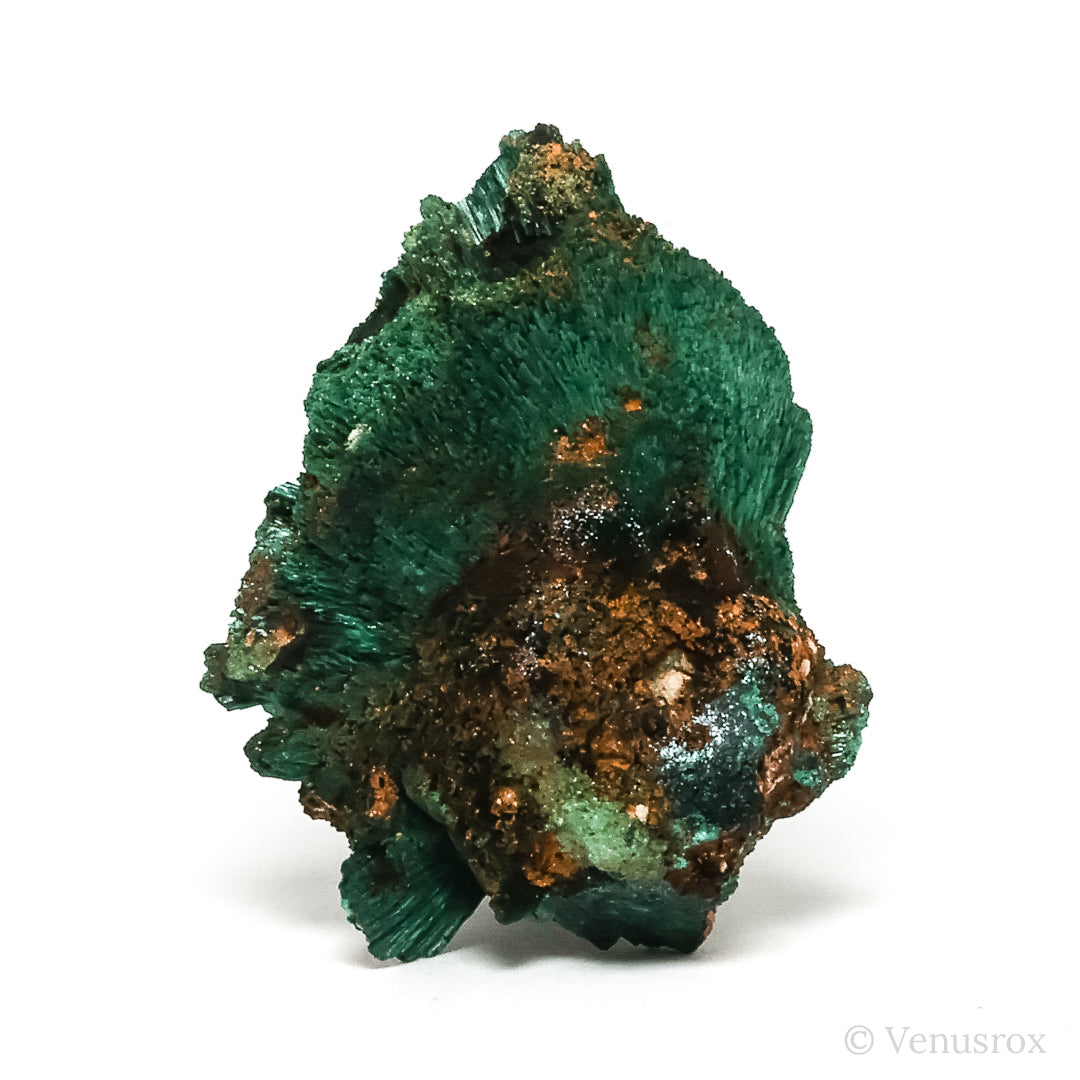 Fibrous Malachite with Matrix Natural Crystal from Kerrouchene, Khenifra Province, Meknes-Tafilalet Region, Morocco, Africa | Venusrox