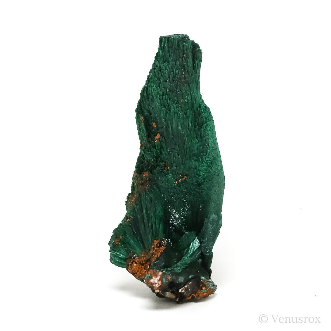 Fibrous Malachite with Matrix Natural Crystal from Kerrouchene, Khenifra Province, Meknes-Tafilalet Region, Morocco, Africa | Venusrox