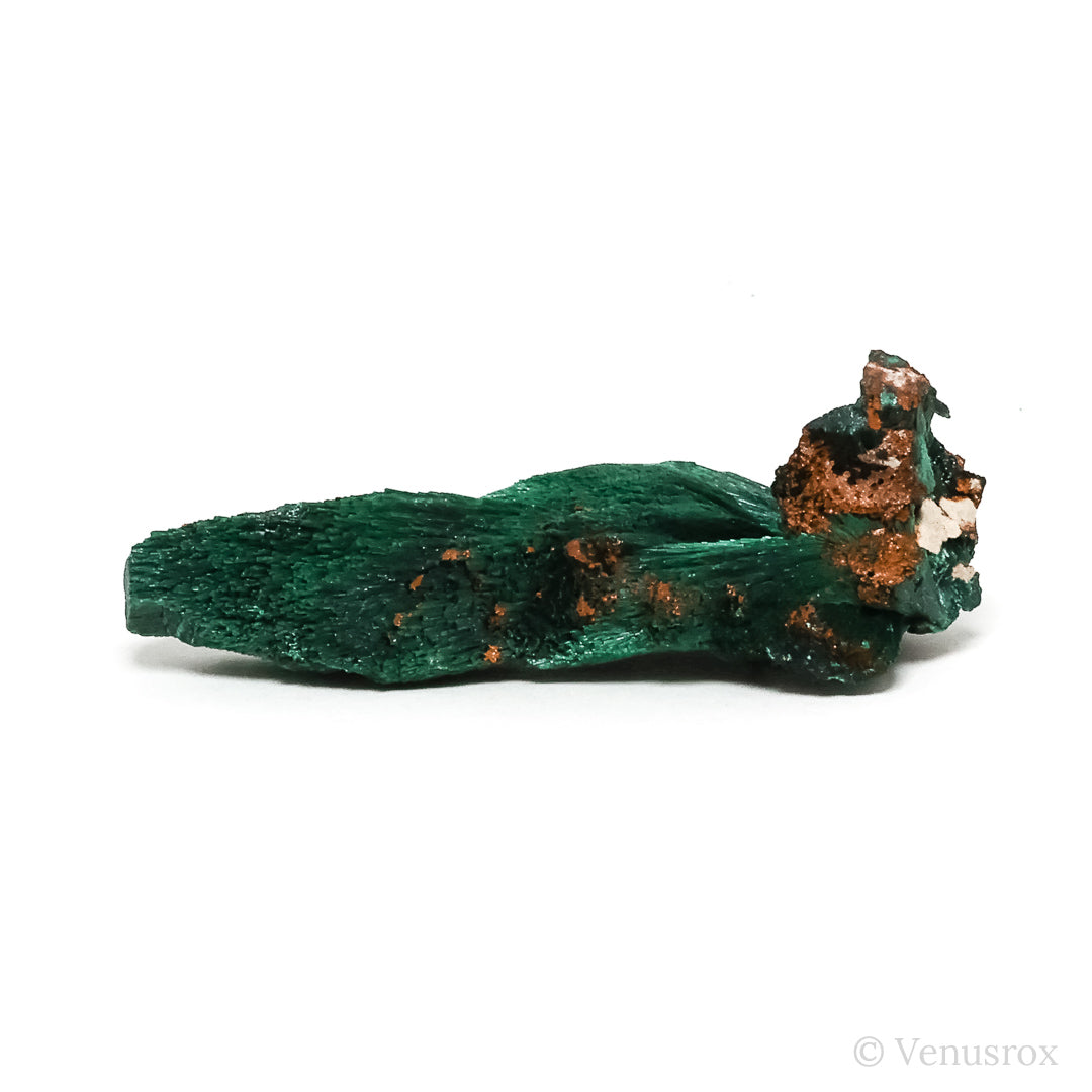 Fibrous Malachite with Matrix Natural Crystal from Kerrouchene, Khenifra Province, Meknes-Tafilalet Region, Morocco, Africa | Venusrox