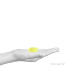 Sulphur Natural Crystal from Bolivia | Venusrox