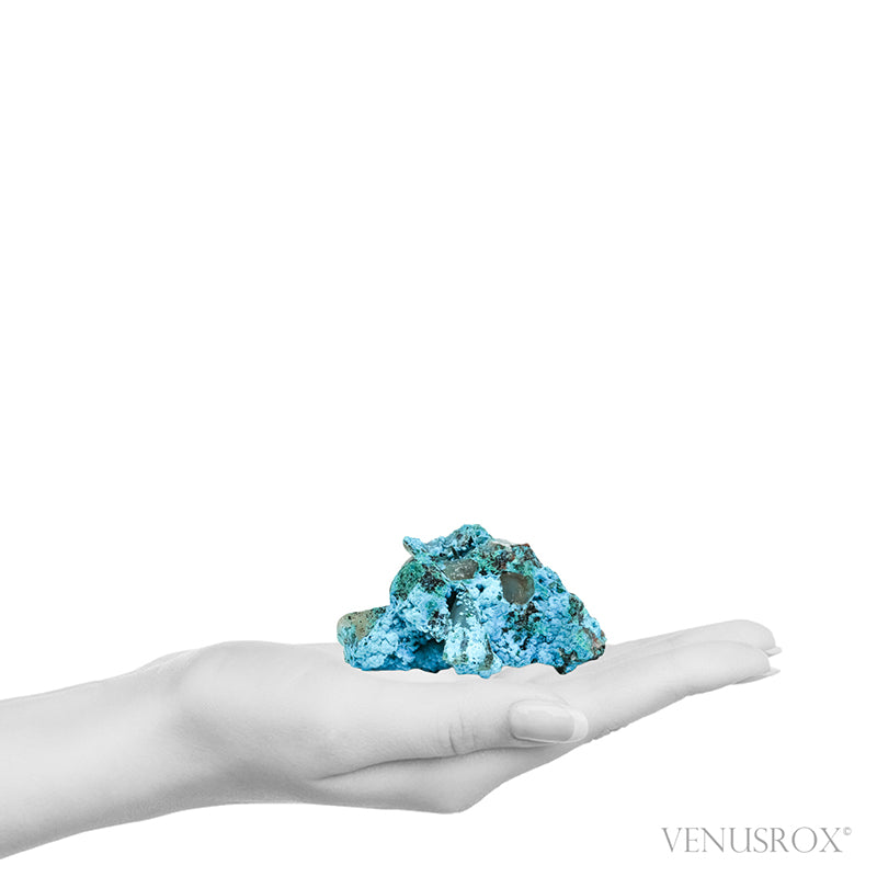 Chrysocolla on Quartz Natural Crystal Specimen from Peru | Venusrox