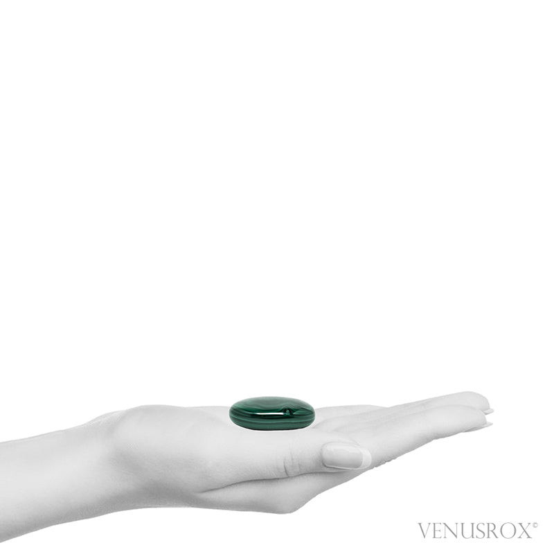 An exquisite Malachite with Chrysocolla Polished Crystal from the Democratic Republic of Congo