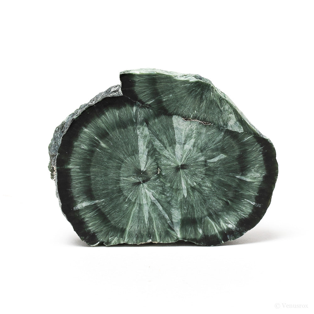 Seraphinite Polished/Natural Slice from the Korshunovskoye Iron Scary Deposit, Irkutskaya Oblast, Siberia, Russia | Venusrox