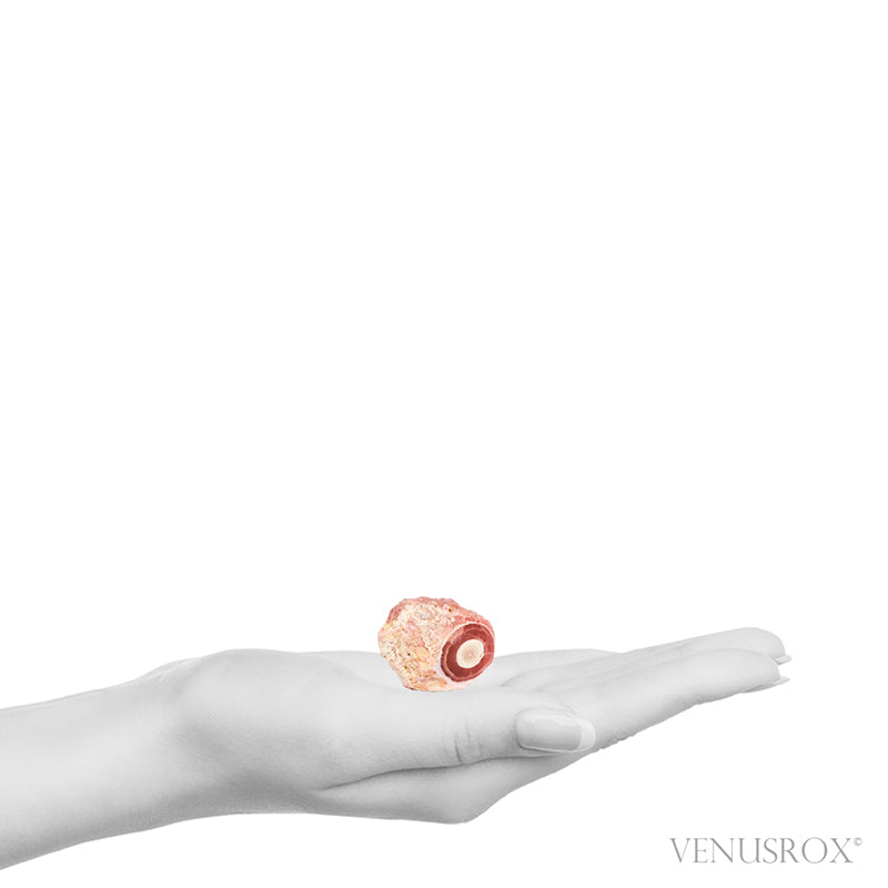 Rhodochrosite Polished/Natural Stalactite Crystal from Argentina | Venusrox