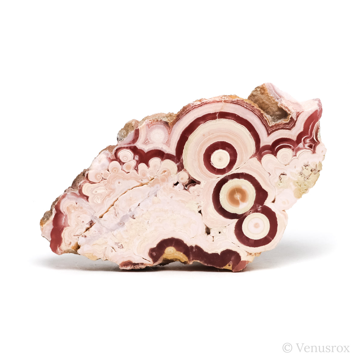 Rhodochrosite Polished/Natural Stalactite Crystal from Argentina | Venusrox
