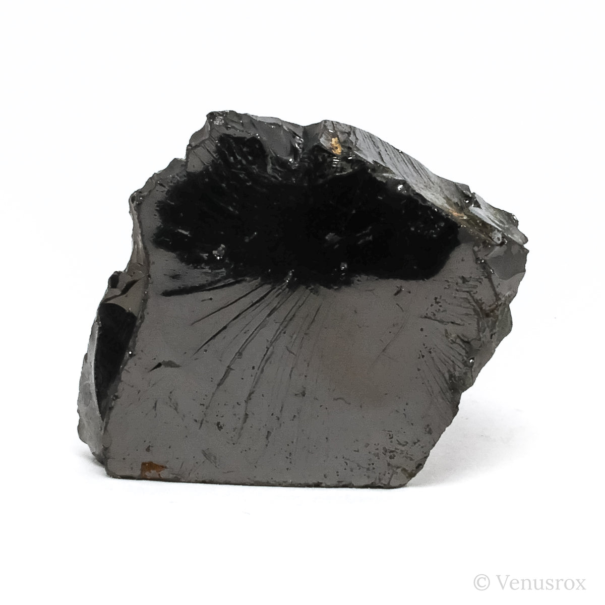 Elite Shungite from Shunga, Karelia, Russia | Venusrox