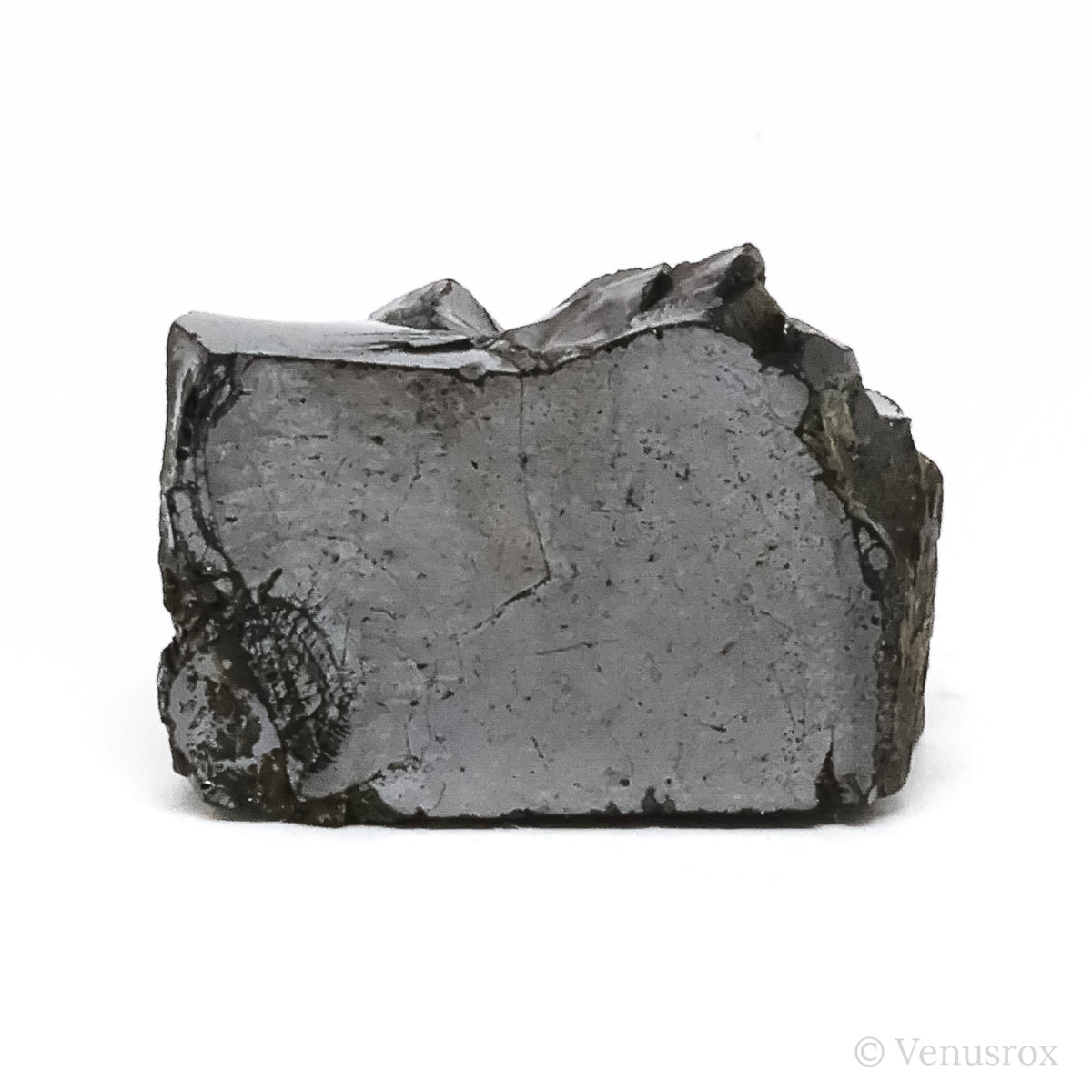 Elite Shungite from Shunga, Karelia, Russia | Venusrox