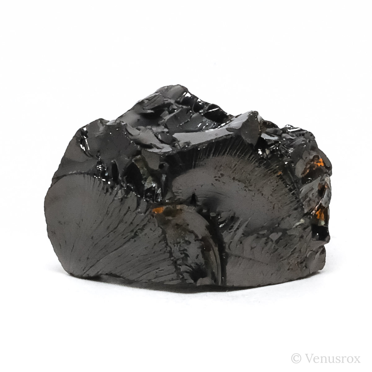 Elite Shungite from Shunga, Karelia, Russia | Venusrox