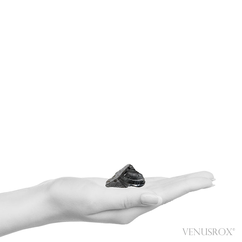 Elite Shungite from Shunga, Karelia, Russia | Venusrox