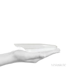 Lemurian Quartz Polished/Natural Point from Brazil | Venusrox