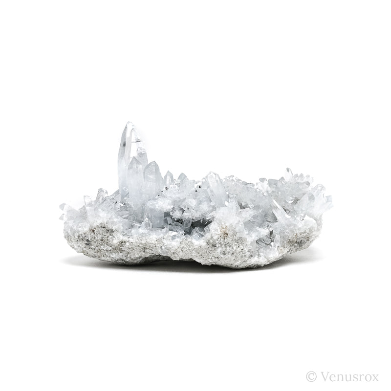 Blue Celestite on Matrix Natural Cluster from Madagascar | Venusrox