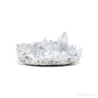 Blue Celestite on Matrix Natural Cluster from Madagascar | Venusrox