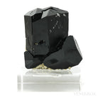Black Tourmaline with Smoky Quartz Natural Cluster from Rondekop, Erongo Mountains, Karibib District, Erongo Region, Namibia mounted on a bespoke stand | Venusrox