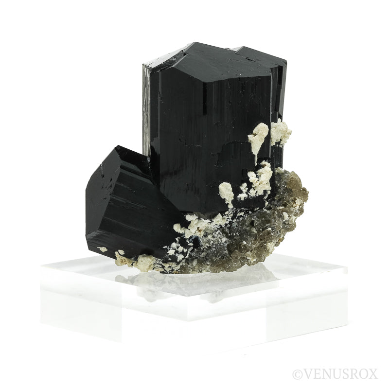 Black Tourmaline with Smoky Quartz Natural Cluster from Rondekop, Erongo Mountains, Karibib District, Erongo Region, Namibia mounted on a bespoke stand | Venusrox