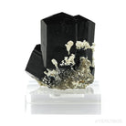 Black Tourmaline with Smoky Quartz Natural Cluster from Rondekop, Erongo Mountains, Karibib District, Erongo Region, Namibia mounted on a bespoke stand | Venusrox