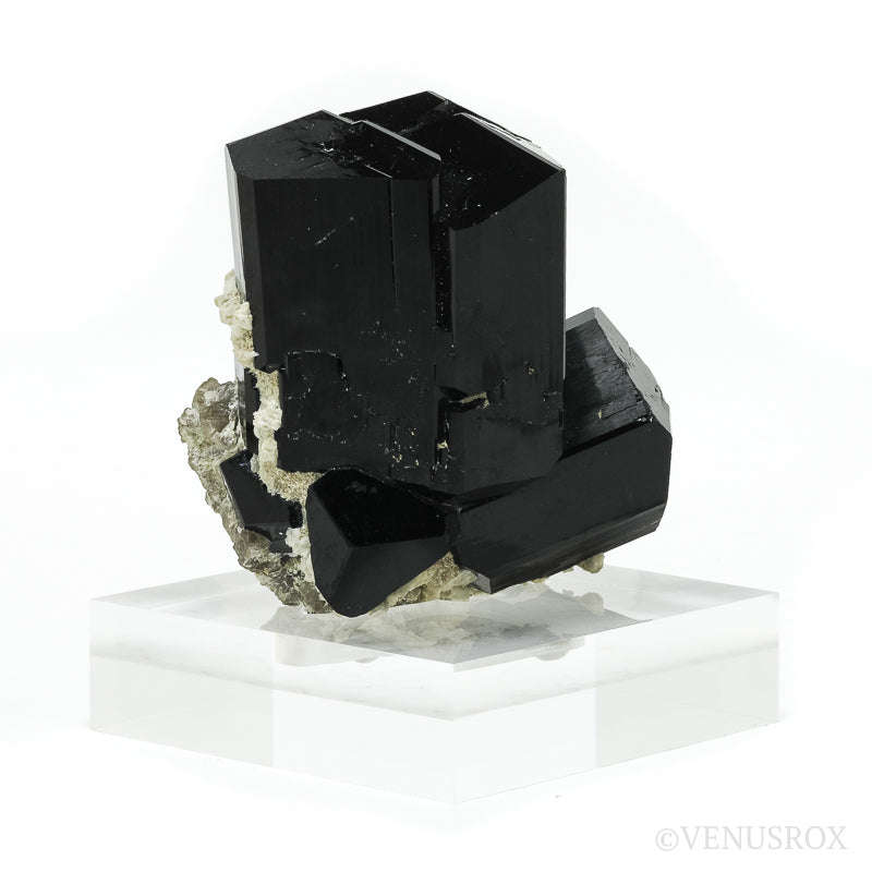 Black Tourmaline with Smoky Quartz Natural Cluster from Rondekop, Erongo Mountains, Karibib District, Erongo Region, Namibia mounted on a bespoke stand | Venusrox