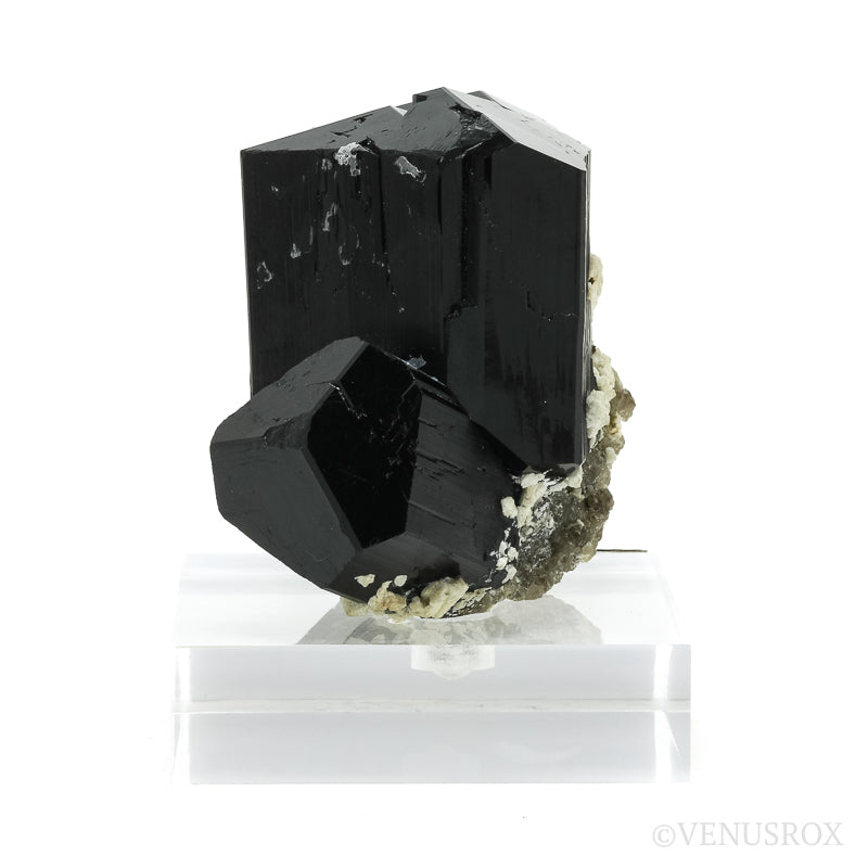 Black Tourmaline with Smoky Quartz Natural Cluster from Rondekop, Erongo Mountains, Karibib District, Erongo Region, Namibia mounted on a bespoke stand | Venusrox