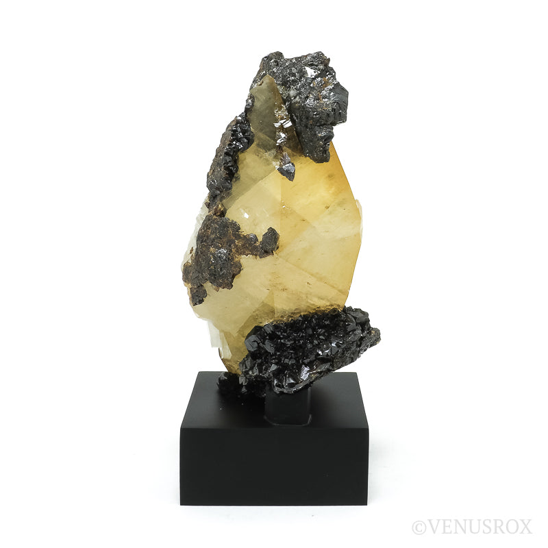 Stellar Beam Calcite with Sphalerite on Matrix Natural Cluster from the Elmwood Mine, Tennessee, USA, mounted on a bespoke stand | Venusrox