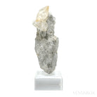 Stellar Beam Calcite on Matrix Natural Crystal from the Elmwood Mine, Tennessee, USA, mounted on a bespoke stand | Venusrox