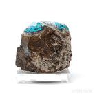 Chrysocolla with Clear Quartz & Calcite on Matrix Natural Crystal | Venusrox