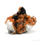 Spessartine Garnet with Smoky Quartz and Orthoclase Natural Cluster from Wushan Spessartine Mine, Tongbei, Yunxiao Co., Zhangzhou Prefecture, Fujian Province, China | Venusrox