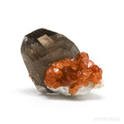 Spessartine Garnet with Smoky Quartz and Orthoclase Natural Cluster from Wushan Spessartine Mine, Tongbei, Yunxiao Co., Zhangzhou Prefecture, Fujian Province, China | Venusrox