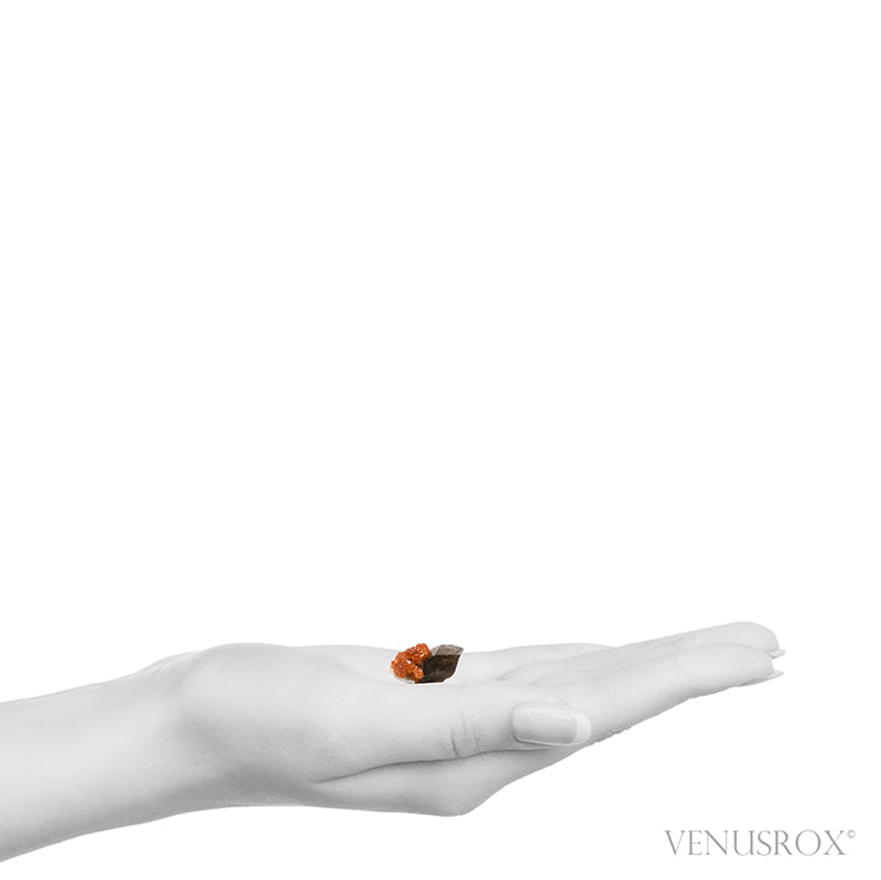 Spessartine Garnet with Smoky Quartz and Orthoclase Natural Cluster from Wushan Spessartine Mine, Tongbei, Yunxiao Co., Zhangzhou Prefecture, Fujian Province, China | Venusrox