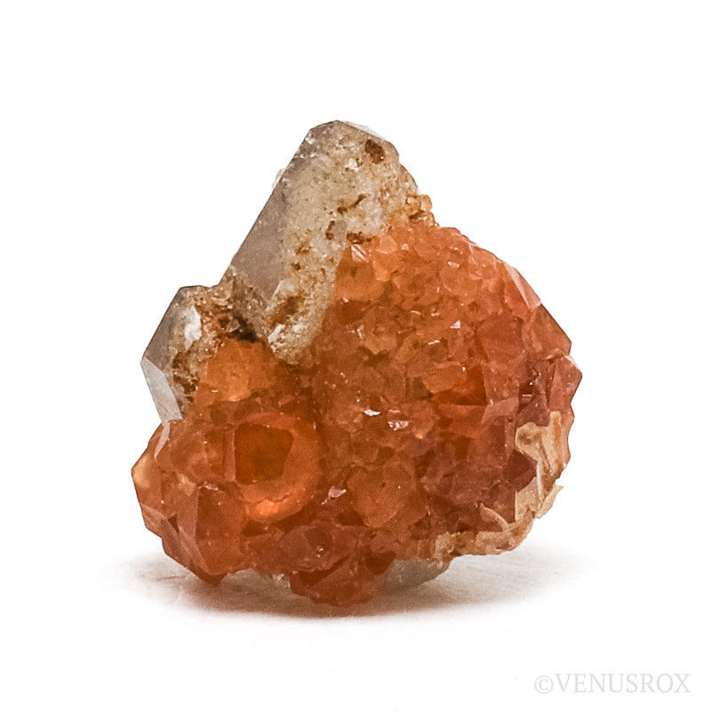 Spessartine Garnet with Smoky Quartz Natural Cluster from Wushan Spessartine Mine, Tongbei, Yunxiao Co., Zhangzhou Prefecture, Fujian Province, China | Venusrox