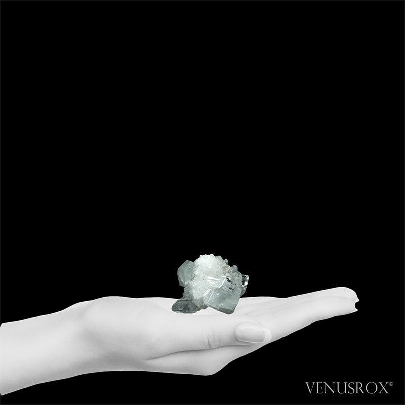 Apophyllite with Quartz Natural Cluster from Maharashtra, India | Venusrox