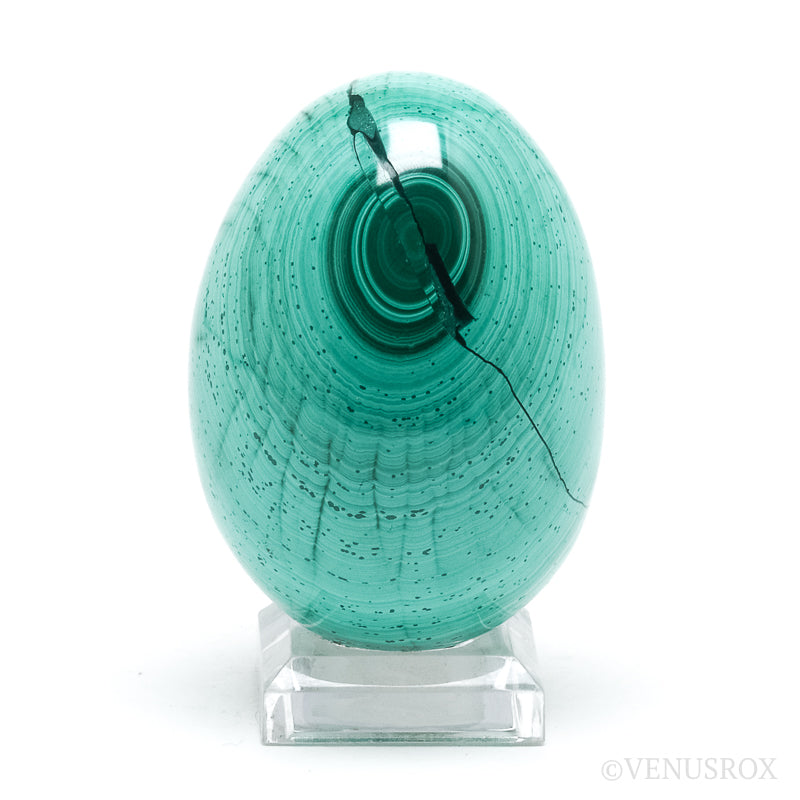 Malachite Polished Egg from the Democratic Republic of Congo | Venusrox
