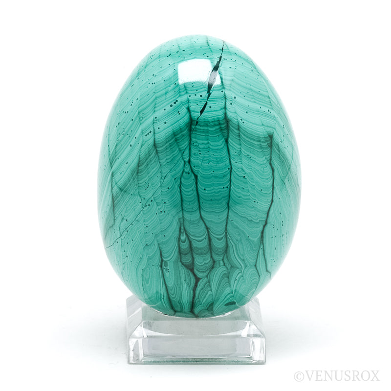Malachite Polished Egg from the Democratic Republic of Congo | Venusrox