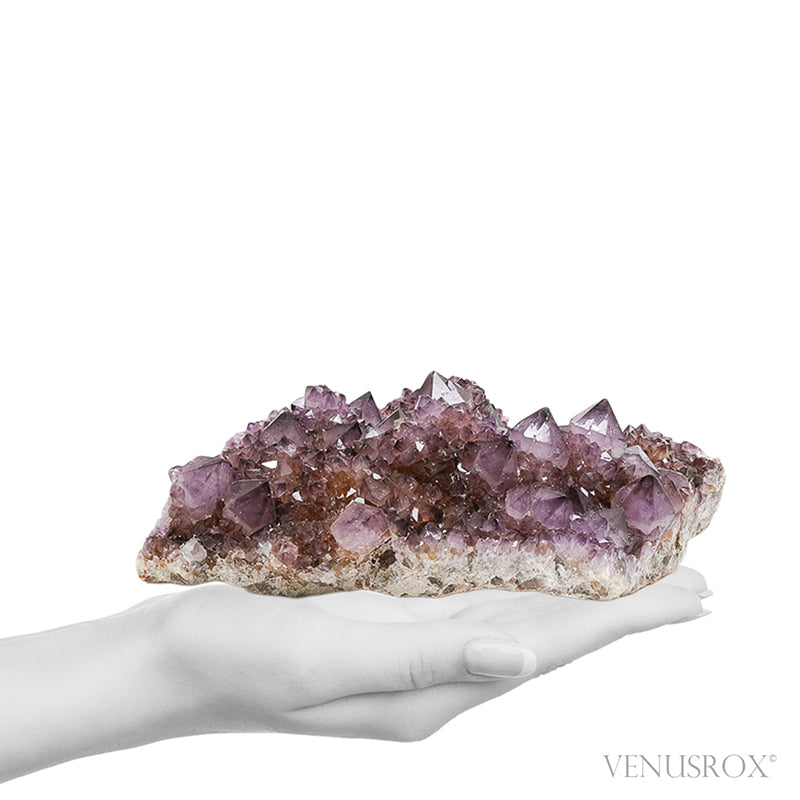 Natural Amethyst Spirit Quartz Cluster from Mpumalanga, South Africa | Venusrox