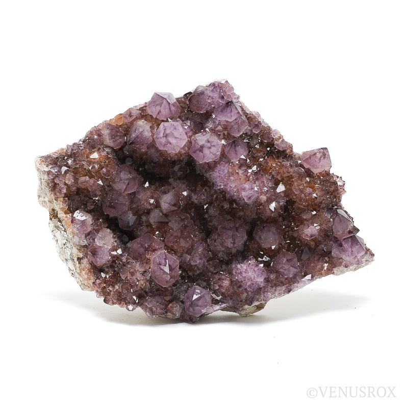 Natural Amethyst Spirit Quartz Cluster from Mpumalanga, South Africa | Venusrox