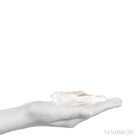 Phantom Lemurian Quartz Polished/Natural Point from Brazil | Venusrox