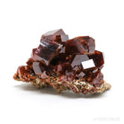 Vanadinite Natural Cluster from Mibladen, Midelt, Meknes-Tafilalet Region, Morocco | Venusrox