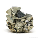 Pyrite Natural Cluster from the Huanzala Mine, Huallanca District, Dos de Mayo Province, Huánuco Department, Peru | Venusrox